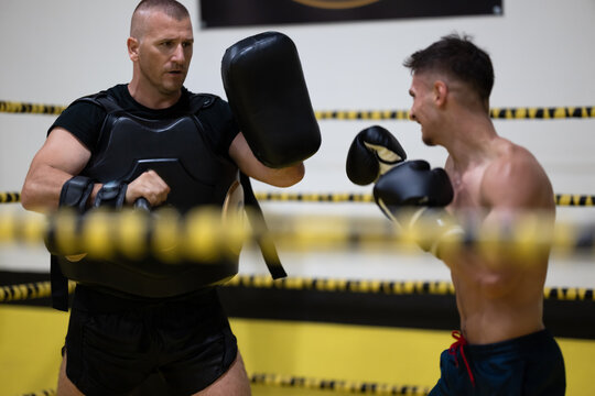 Boxer Training With Coach Holding Pads During Intense Boxing Padwork Session In Gym Ring