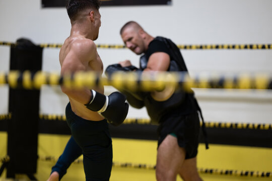 Boxing Sparring Session in Gym Ring With Trainer Holding Pads and Athlete Kicking
