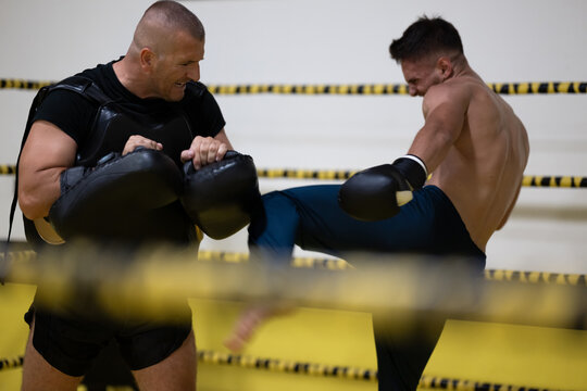 Intense Kickboxing Training Session With Coach Holding Pads While Athlete Delivers Powerful Kick