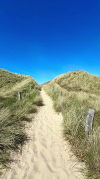 path in the sand dunes in summer season