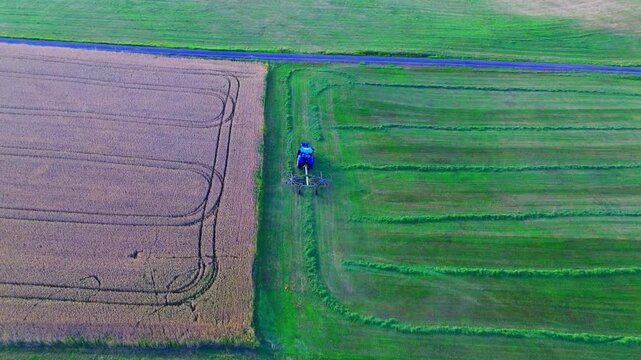 Top down aerial drone view of blue tractor mowing and harvesting grass between crop fields in rural farmland during summer