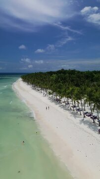 Vertical aerial approaches a couple walking along Dumaluan Beach, then ascends to reveal white sand, palm trees, swimmers, and the Panglao coastline