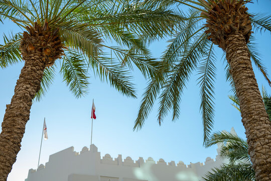 Low Angle View of Palm Trees and Traditional White Qatari Building