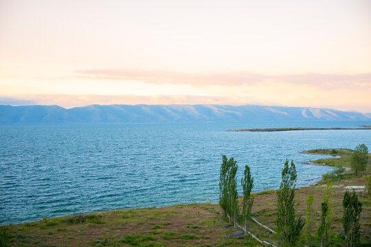 Panoramic View of Blue Lake and Mountain Range with Tall Trees at Sunset

Keywords (50)