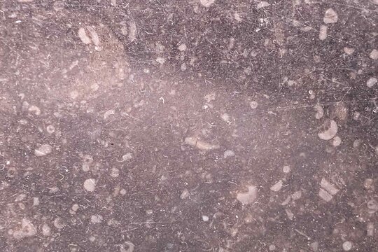 Surface texture marble showing various patterns and colors in natural light during daytime