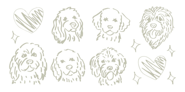 Hand drawn doodle dog heads set, cute puppy face line art illustrations, 6 poodle and doodle breed sketches with hearts and stars