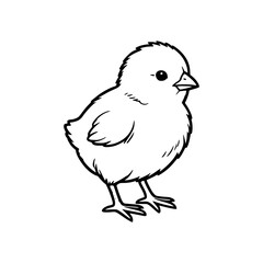 Obraz premium Cute Baby Chick Standing on Two Legs Simple Line Drawing.