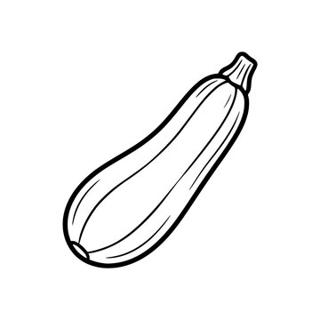 Simple line drawing of a zucchini vegetable.