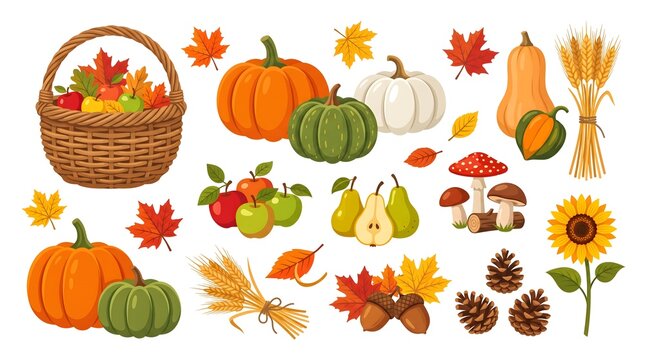Vector set of autumn harvest elements isolated on white background
