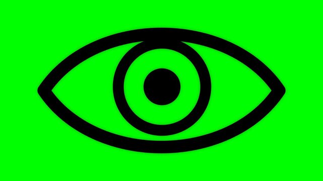 Graphic icon of an eye displayed in bold black lines against a vibrant emerald green chroma key background.