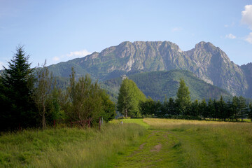 nature in zakopane © Ahmed J.R