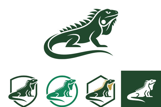 Green iguana vector logo design templates set for branding identity