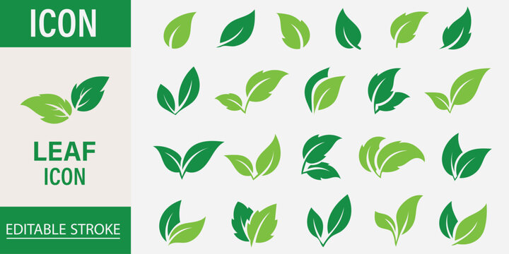 Leaf sprout icon vector set, green leaves plant eco logo symbol simple graphic illustration set, vegan fresh herb pictogram shape sign, organic natural healthy logotype eps 10