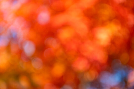 Blurred orange background. Defocused blurry autumn. Blur backdrop. Orange fall background. Defocused blur orange color. Blurred autumn background. Backdrop blurred fall. Blurry autumn backdrop