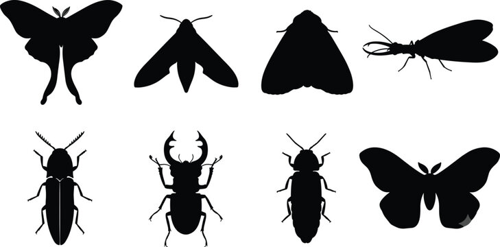 Butterfly Moth and Beetle Silhouette Collection Featuring Diverse Wing and Body Vector Designs