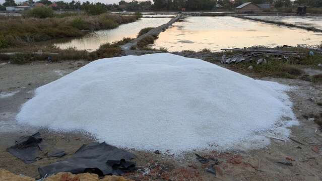 Pile Of White Sea Salt Harvested From Salt Ponds