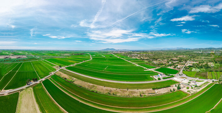 Aerial panorama of green agricultural fields and irrigation network in the Ebro Delta, Catalonia, Spain
