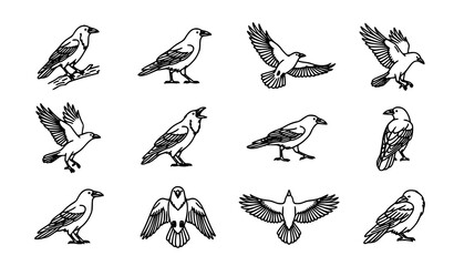 Fototapeta premium Crow Silhouette Line Art Vector Illustration with Elegant Flying and Perched Bird Design