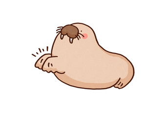 Walrus clapping its flippers happily, aquarium animal performance or entertainment show concept © Chunu