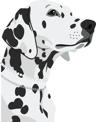 A stylish monochrome vector illustration featuring a side profile portrait of a Dalmatian dog. The artwork showcases clean vector lines, distinct black spots, soft grey shading, and realistic eye. © Aman