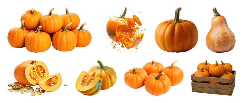 PNG Various pumpkins and squash, transparent background