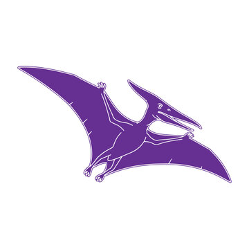A purple pterodactyl dinosaur silhouette in flight, depicted as a flat isolated on a white background, for use