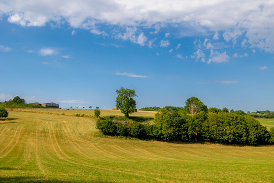 Summer landscape, The terrain of hilly countryside, A hamlet on hillside with green grass meadow and tree, Eys is a village in the municipality of Gulpen-Wittem and region in Zuid-Limburg, Netherlands