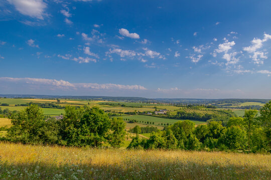 Summer landscape, The terrain of hilly countryside, A hamlet on hillside with green grass meadow and tree, Eys is a village in the municipality of Gulpen-Wittem and region in Zuid-Limburg, Netherlands