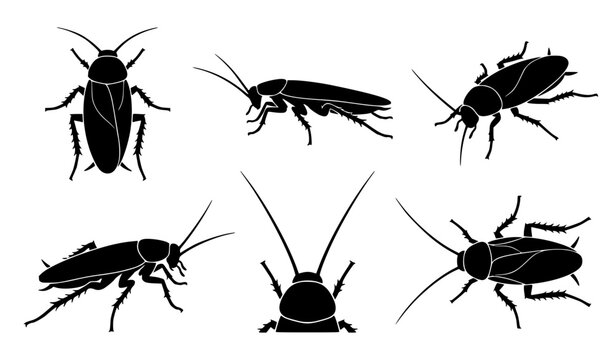 Cockroach silhouette collection with anatomical insect profiles and pest control vector illustrations
