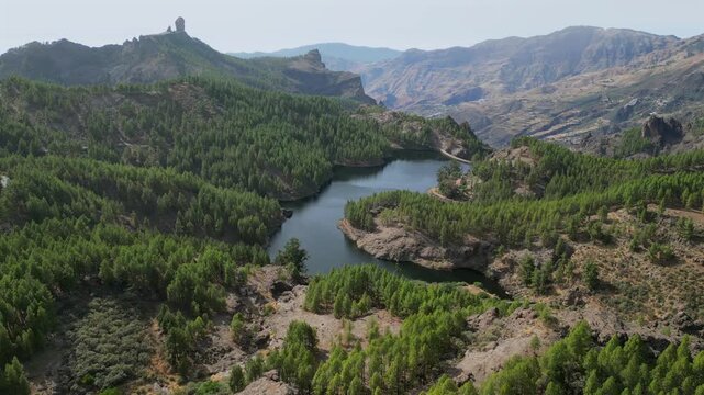Majestic aerial view flying over the lush pine forest surrounding the Los Hornos dam, revealing the iconic Roque Nublo in Gran Canaria