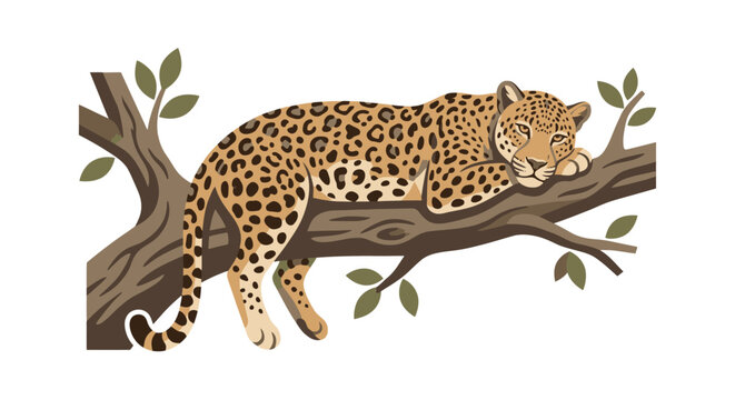 Leopard resting on tree branch peaceful sleep wildlife