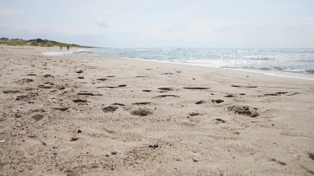 Sandy shoreline with multiple footprints leading to ocean under soft daylight