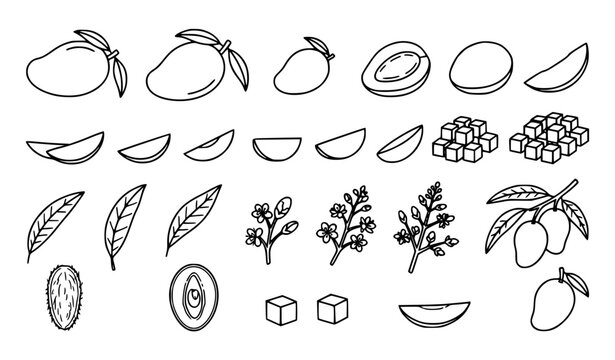 Set of hand drawn mango fruit elements including whole fruit slices cubes leaves and blossoms in doodle style