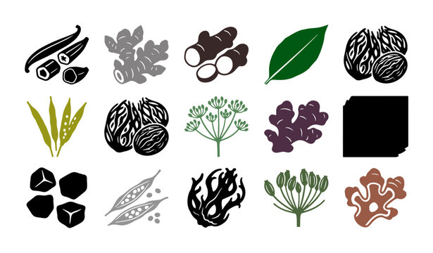 Culinary herbs and spices vector set, organic ginger and nutmeg illustrations, botanical seasoning icons for food packaging and menu design
