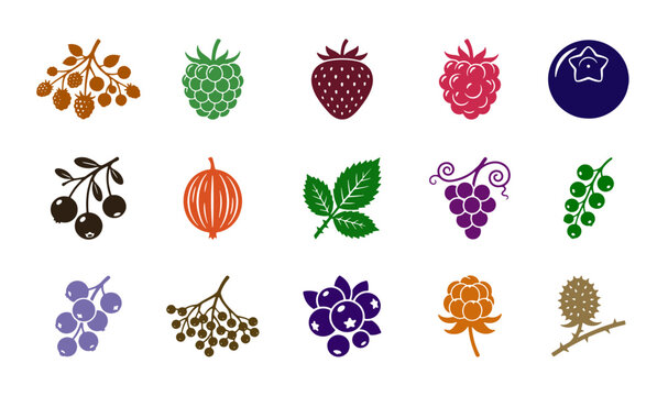 Minimalist berry icon set with 15 vector elements, colorful forest fruit silhouettes, flat garden berry graphics for food packaging and menu design