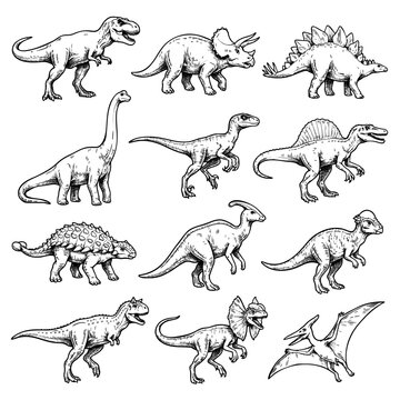Realistic Hand Drawn Dinosaur Collection Black and White Vintage Vector Illustration