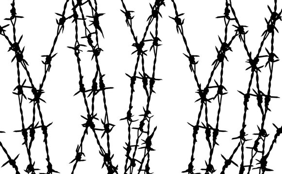 Silhouette of barbed wire 