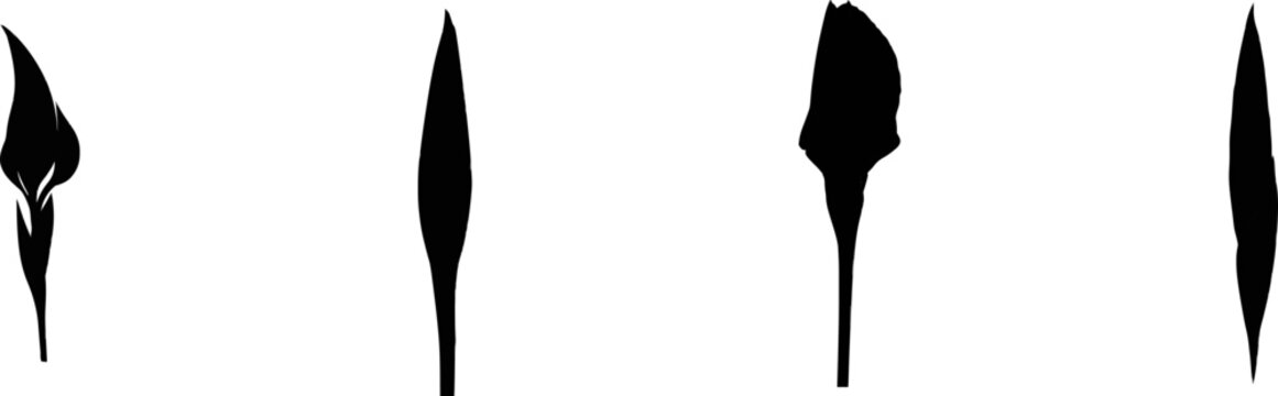 A flat shape iconography of a single pointed iris flower bud in black on a white background, devoid of shading or texture
