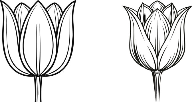 A flat black icon of a tulip flower with smooth petals and a short stem stands isolated against a white background, devoid of shading or texture