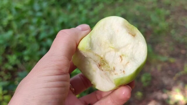 Close up of a bitten green apple held in a human hand, fresh fruit snack outdoors, natural garden background, healthy eating concept.