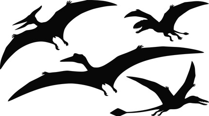 Flying Pterodactyl and Pterosaur Dinosaurs Vector Silhouette Icon Set Featuring Prehistoric Reptiles © MDSabdulhossain