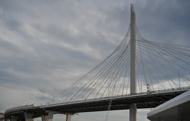 Naklejka premium Modern cable stayed bridge with steel suspension cables