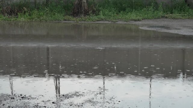 Raindrops fall into a large water puddle on asphalt road.