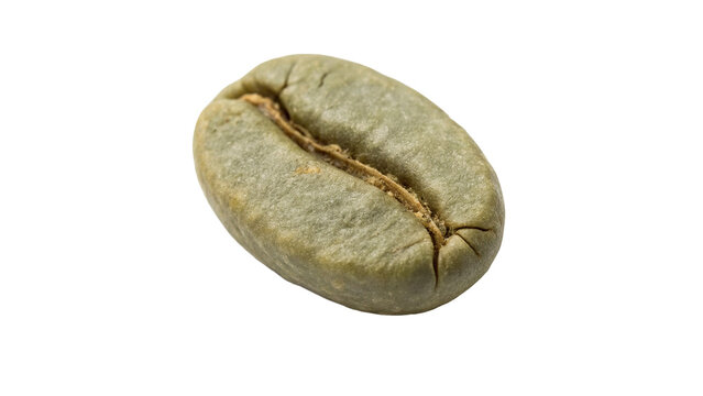 Single raw green unroasted coffee bean isolated on transparent background for organic cafe beverage packaging