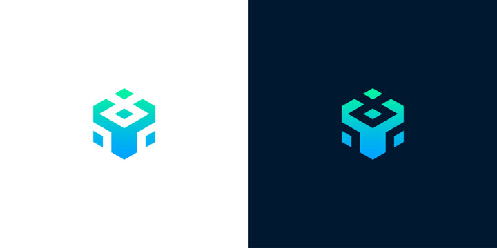Abstract geometric hexagonal cube logo template with blue gradient color in two background options