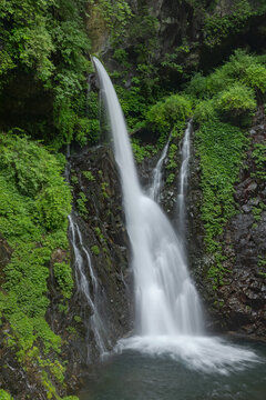 深緑の中の滝