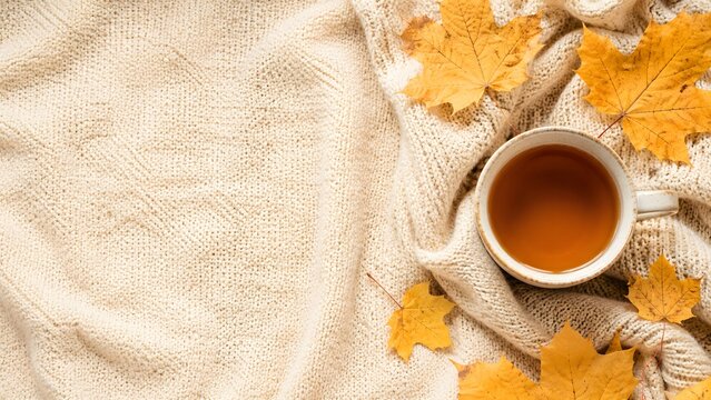 Cozy autumn flat lay with hot tea cup and yellow maple leaves. Warm wool sweater texture background. Hygge seasonal composition with copy space.