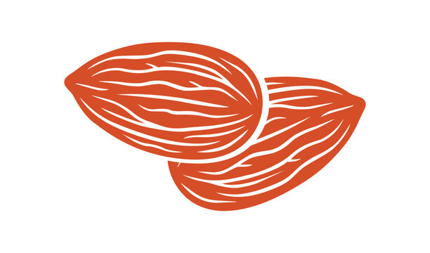 Two almonds vector illustration, stylized almond nuts icon, organic healthy snack, detailed nut shape, flat design element for food packaging, culinary ingredient, natural food graphic, vector