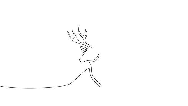 Single Continuous Line Deer Path Tracing Animation Minimal Stag Portrait 4K