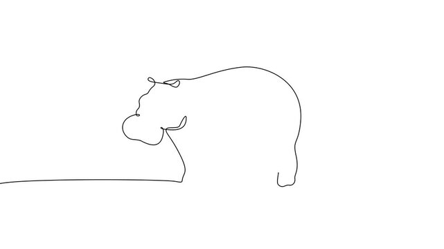 Single Continuous Line Hippopotamus Path Tracing Animation Minimal Wildlife Drawing 4K